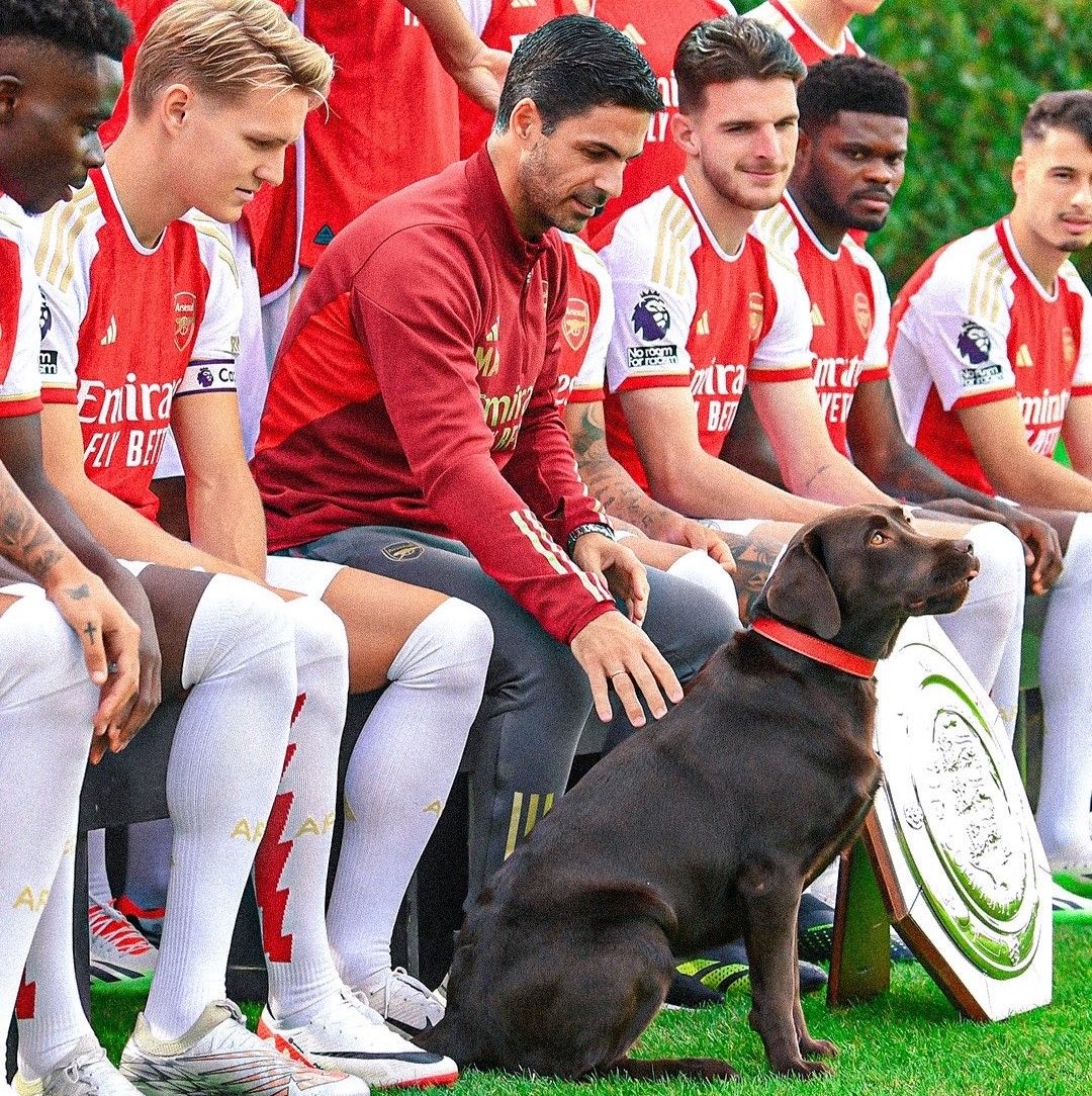 AfcPapers's tweet photo. (🟢)NEW: Arsenal with advice from Mikel Arteta have changed the dog’s name from ‘Win’ to ‘Won’ after last season’s Premier League campaign.

(@SkySportPL) https://t.co/4pJnG1xTY9