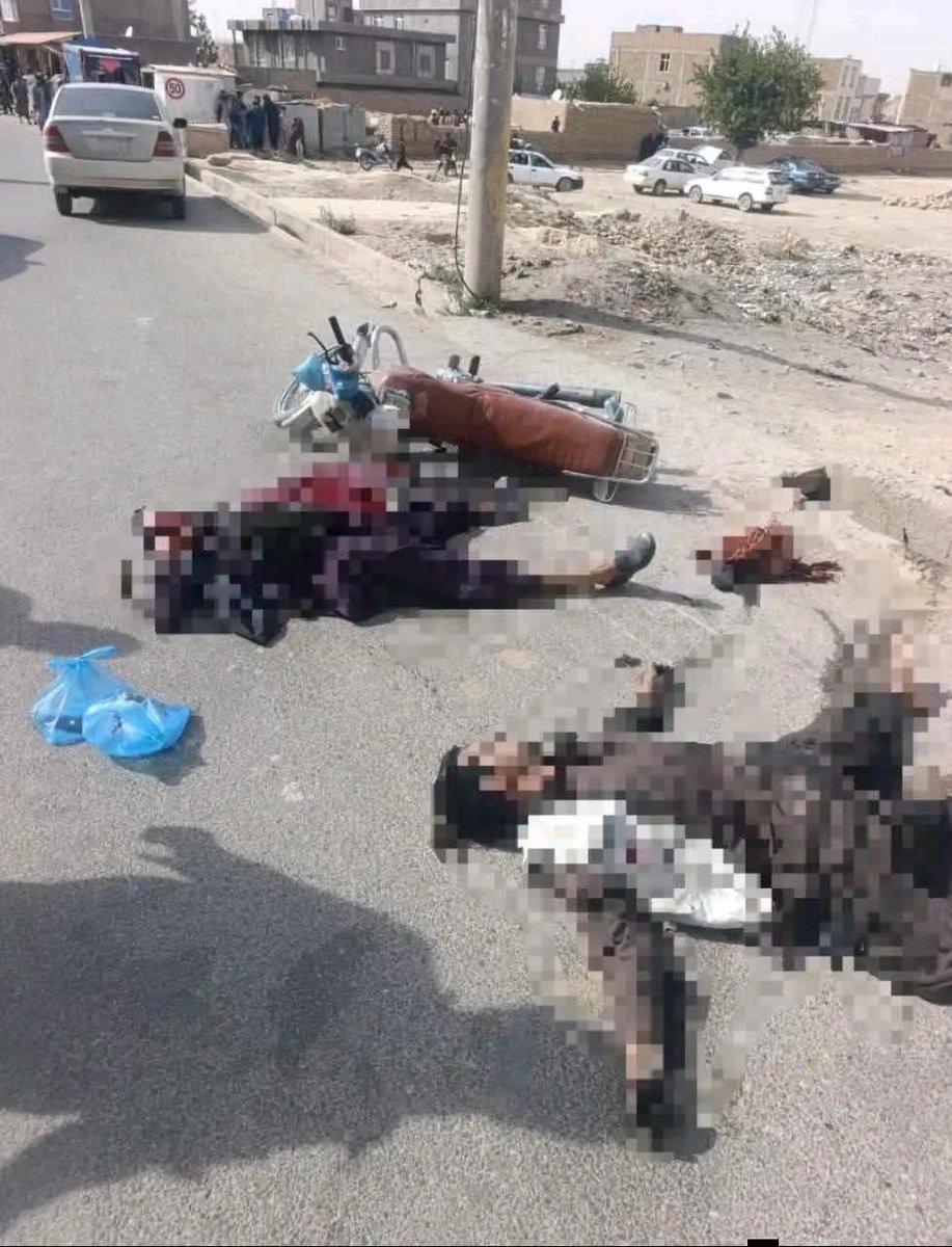 wah61635's tweet photo. په يو څو وچګانواودمورپلار ازار وهلو باندي دغازيانونه وطن نيسي!! https://t.co/m3jD0j3lUz