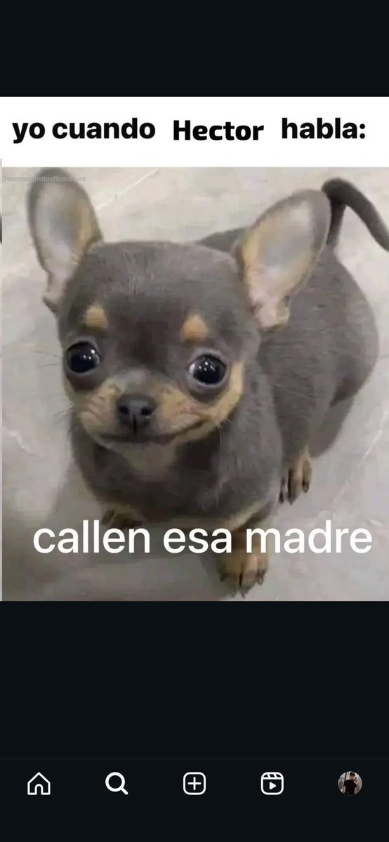 ElKevso's tweet photo. @Alph4dan @TheRAFITI69 Tenías la oportunidad de ya no contestar y decidiste verte aun mas ignorante, que valor https://t.co/mdtTDms84Y