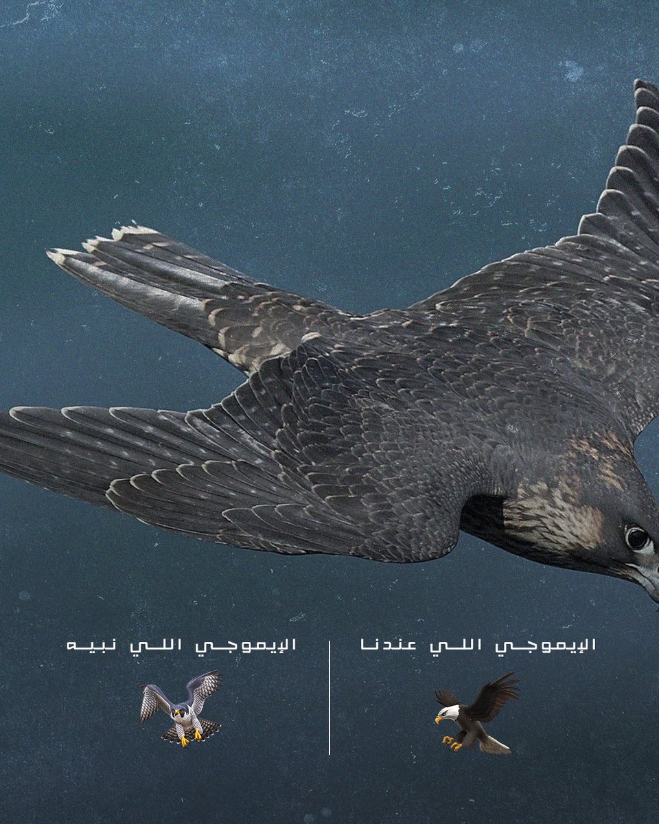 ceer's tweet photo. نشارك في الترند بطريقة #سير
Joining the trend, the #CEER way