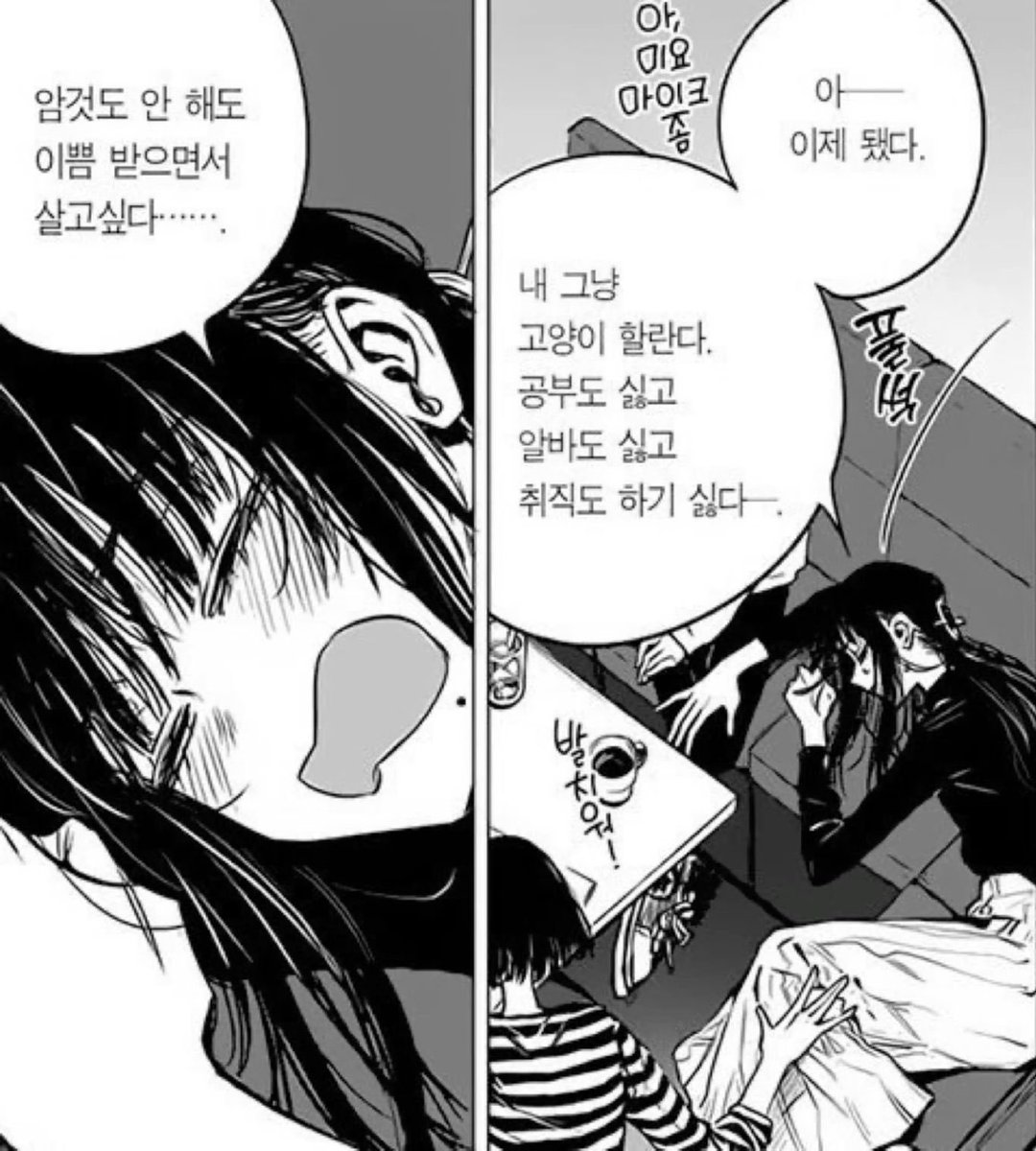 bunnyrabbitS2__'s tweet photo. 나 고양이할래🐱
#제주 #064 #bw #비떱 #프레이 #리틀 #펨섭 https://t.co/i9oEuWFrZM