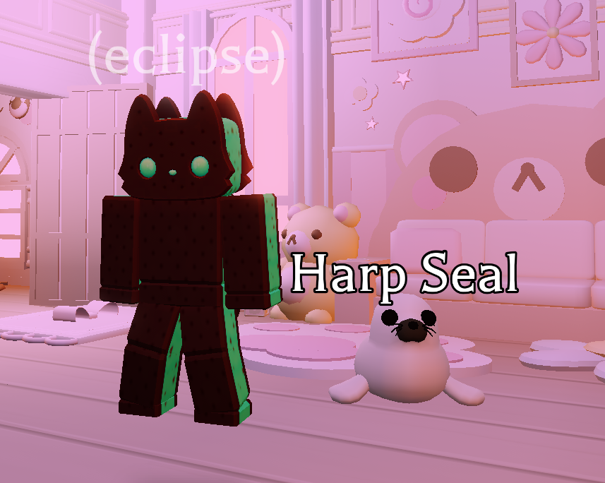 eclipsegalaxy16's tweet photo. 2x harp seal giveaway there will be 2 winners.. like+repost to enter :D https://t.co/8eEEyfDDpc