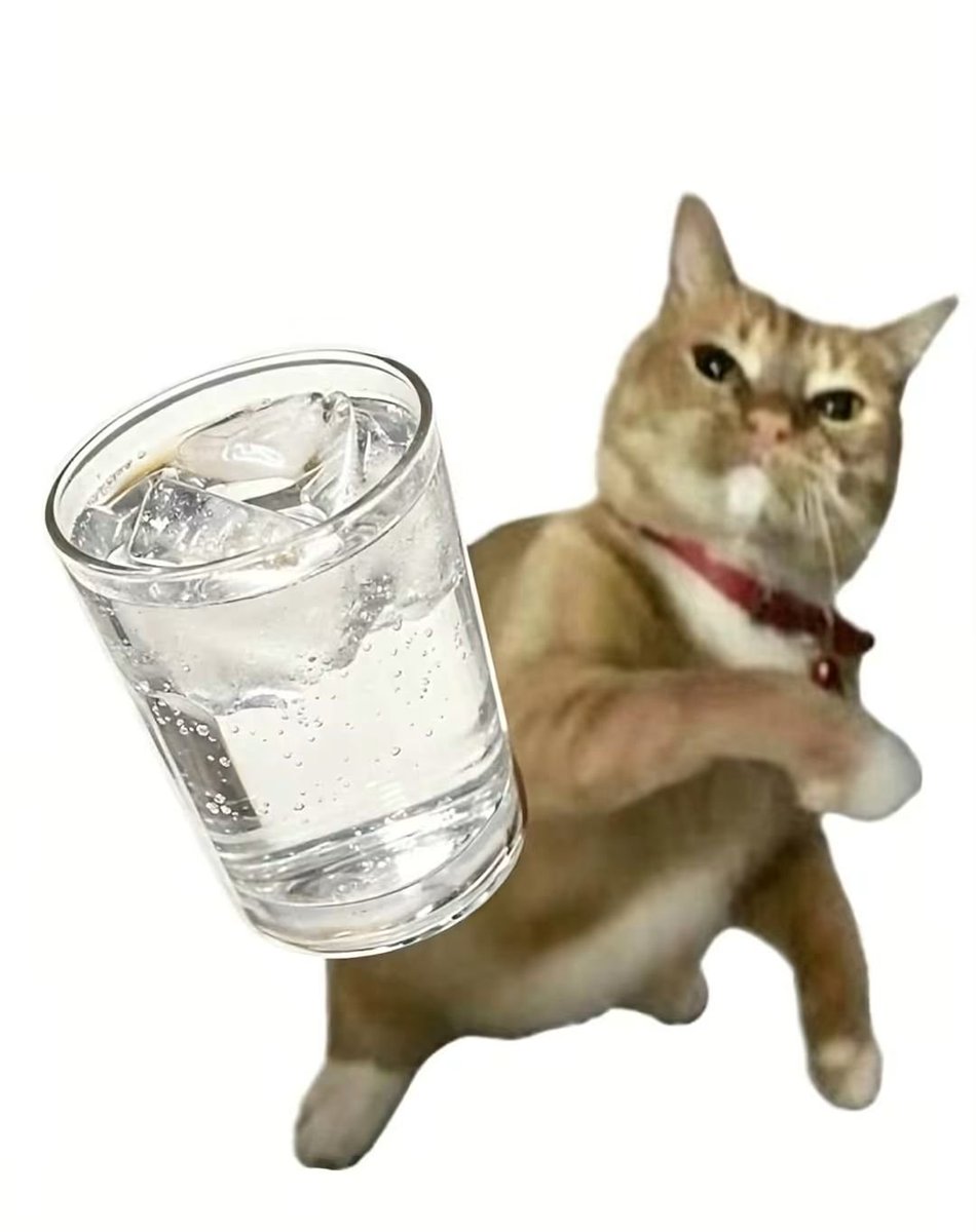 Animalesaprieto's tweet photo. Yo cuando me ofrecen agua//yo cuando me dan coquita https://t.co/k7D9vduPF4