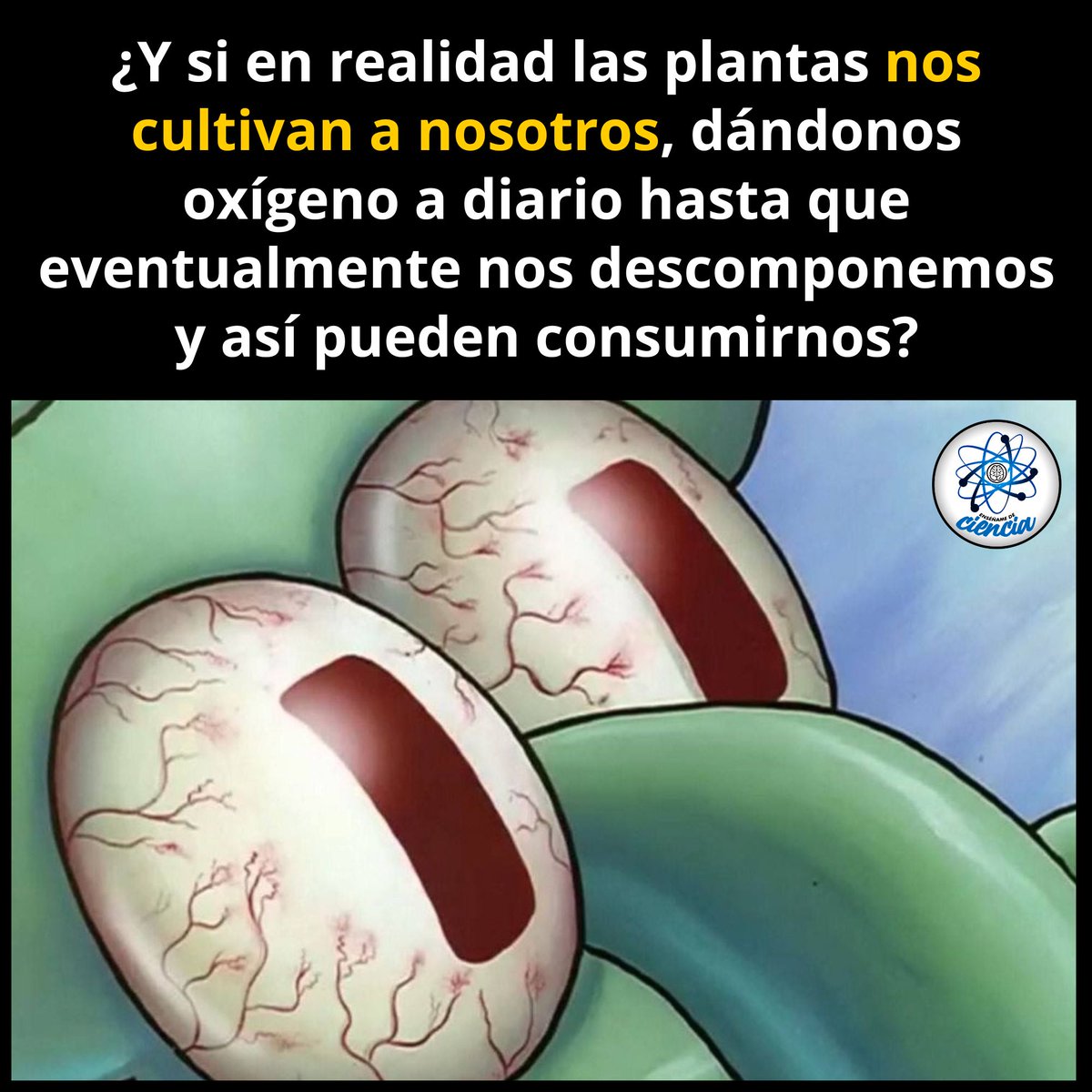 EnsedeCiencia's tweet photo. 🤯🤯 https://t.co/Cis6QS8U1i