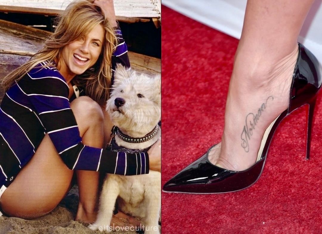 itsloveculture's tweet photo. Jennifer Aniston fez sua primeira tatuagem em homenagem ao cachorro que esteve ao seu lado por 15 anos. Após perder Norman, ela tatuou o nome dele no pé para carregá-lo consigo para sempre. https://t.co/Cuat9TY2fh