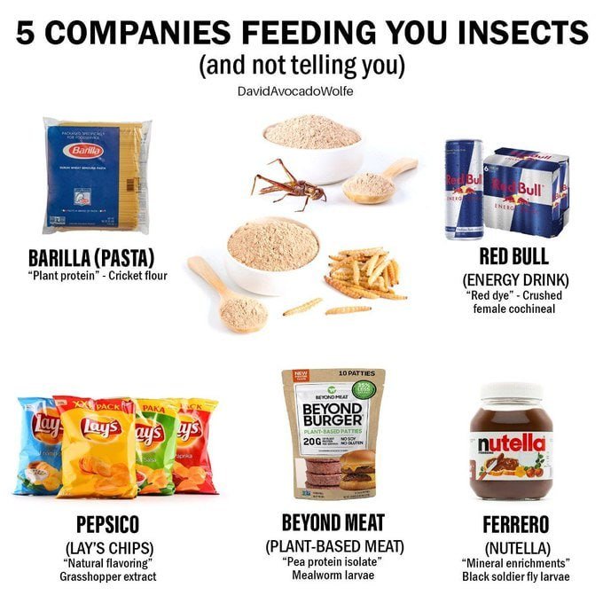 Humanbydesign3's tweet photo. Feel the buzz....🐞🐜🪰🪲🪳🦟🦗🕷#Barilla #RedBull #Nutella #LaysChips  #BeyondMeat https://t.co/2ADMsZlwol