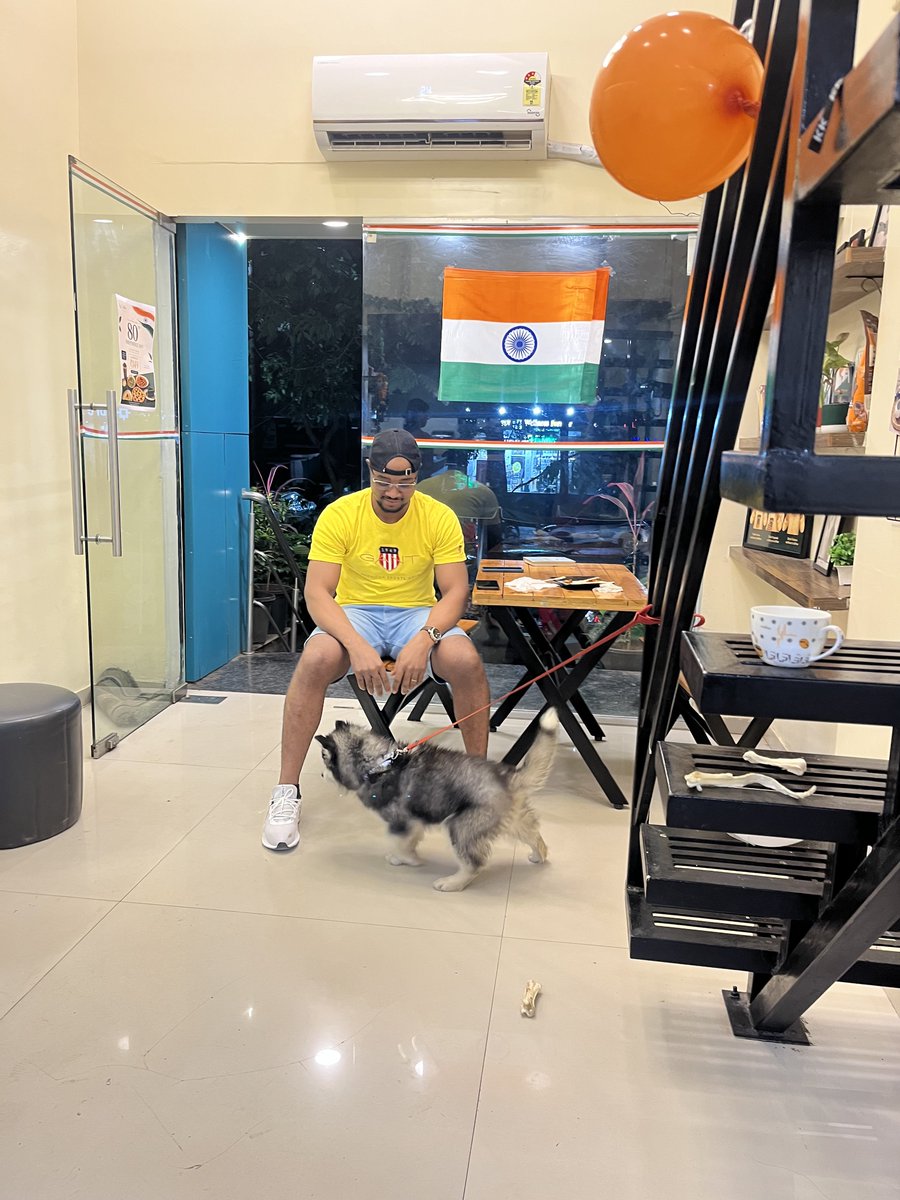 JoshTriving's tweet photo. Evening wind-down with the cutest unexpected co-pilot. 🐶💛
​(Story behind this in the comments! 👇) https://t.co/YjA0kyFCTm