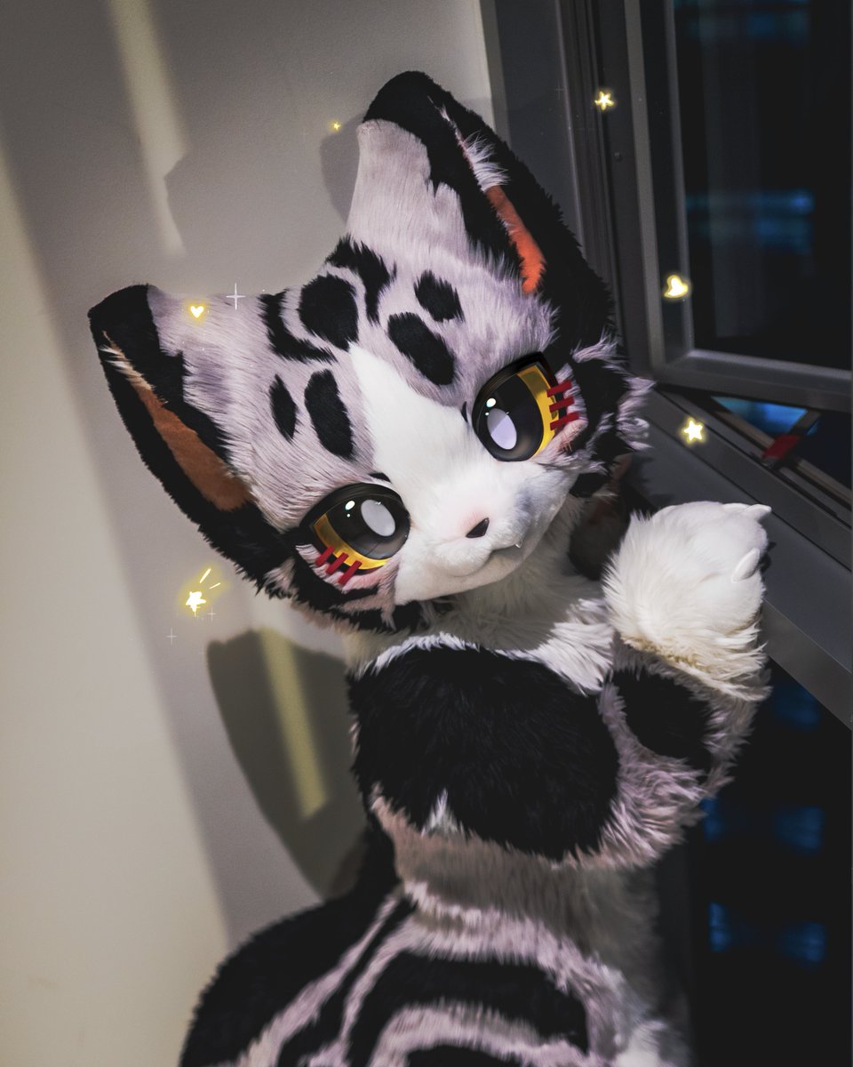 CheeseCat_fur's tweet photo. #FursuitFriday #万界通行 #wwpass #起司猫 https://t.co/Cd3Yj4XQh7