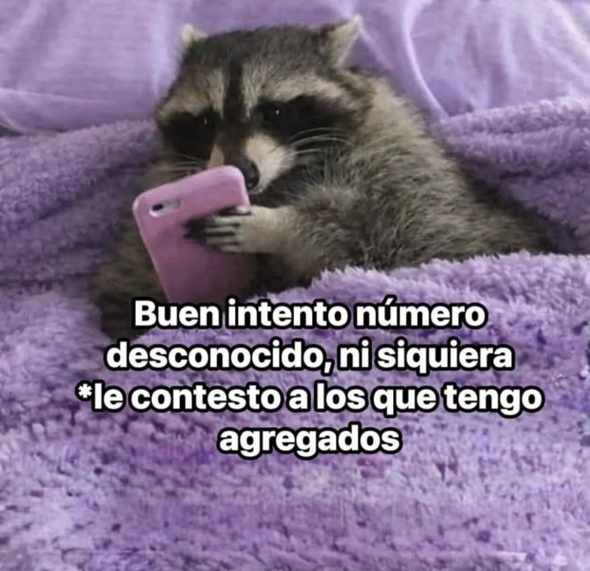MundoDeBigotes's tweet photo. https://t.co/XpdmR0nkjJ