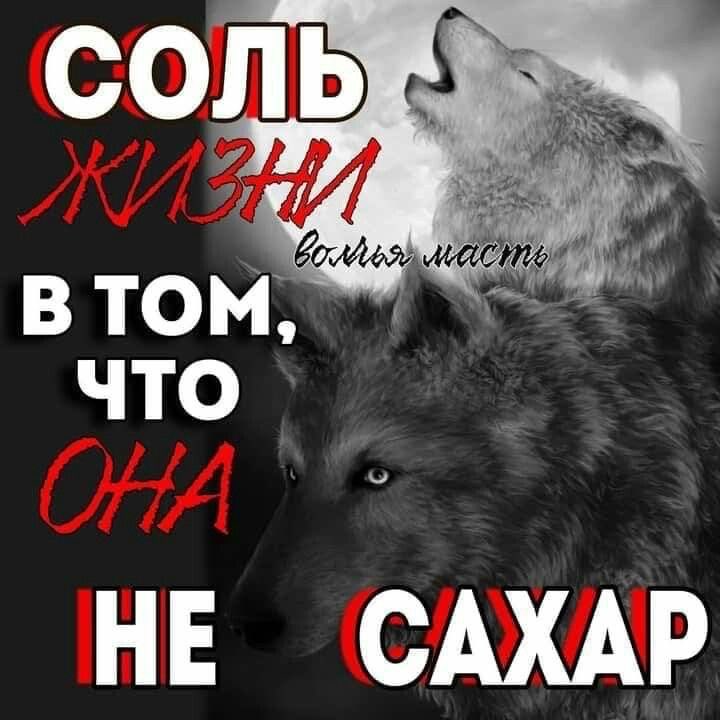 masyastro's tweet photo. ох сука эссе на 250 слов по науитупецшей теме im gonna kill myself https://t.co/bAkTroZskK