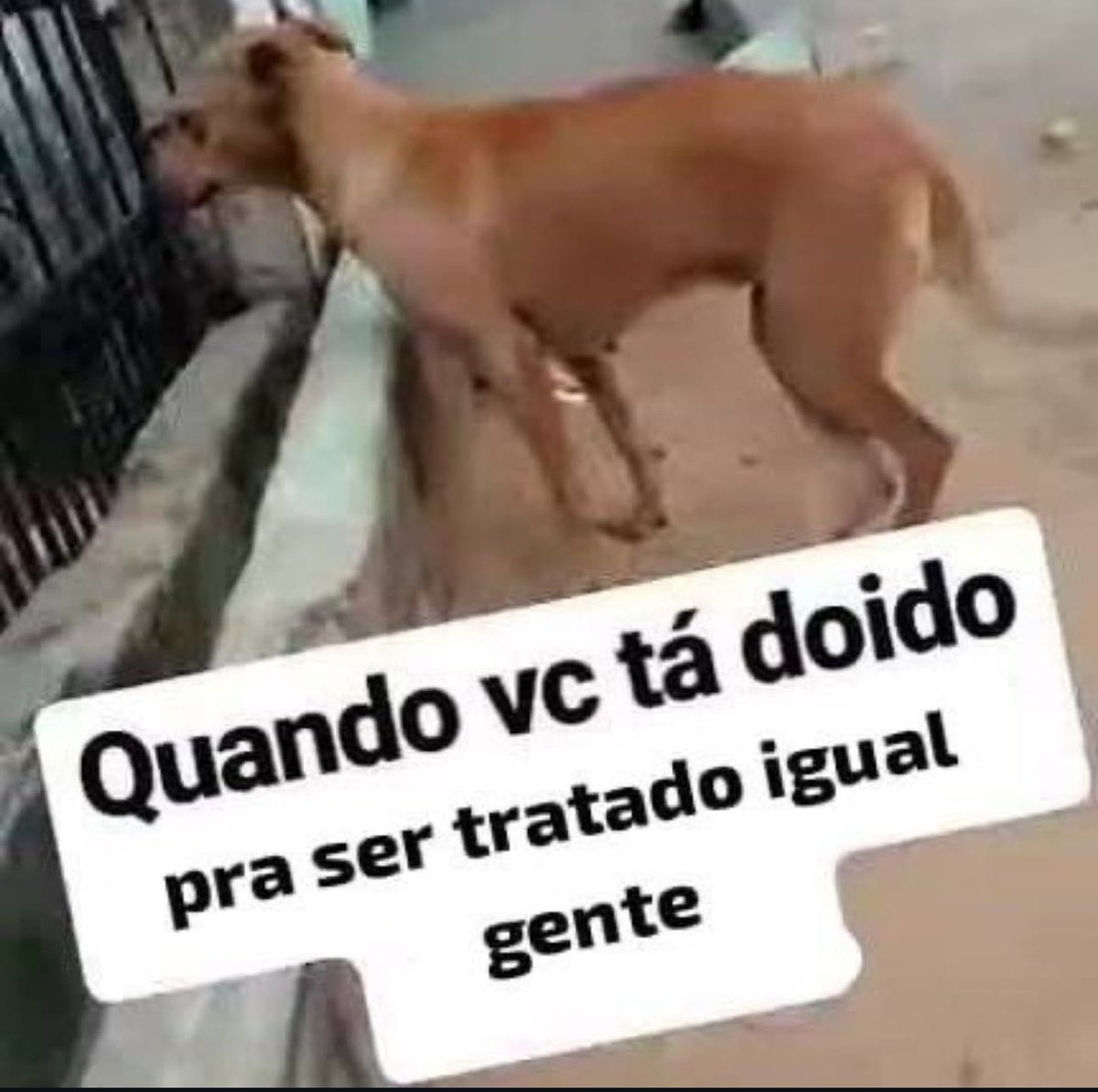 shitpostverdade's tweet photo. https://t.co/aqOUoqa48F