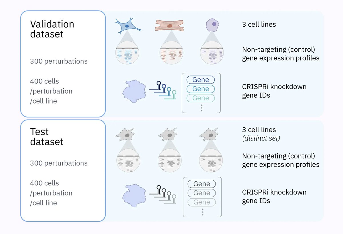 arcinstitute's tweet photo. Competitors will receive a validation dataset with 3 cell lines, each containing the non-targeting control profiles plus the CRISPRi knockdown gene IDs to predict for 300 perturbations per cell line. A test set with 3 distinct cell lines will be held out until the final phase. https://t.co/kSVsh7wF27