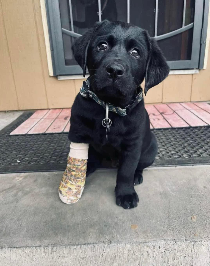 rW4rh1rtCP9kZnY's tweet photo. I'm so sad, nobody loves me 🥺 https://t.co/M2cTTBfjO1