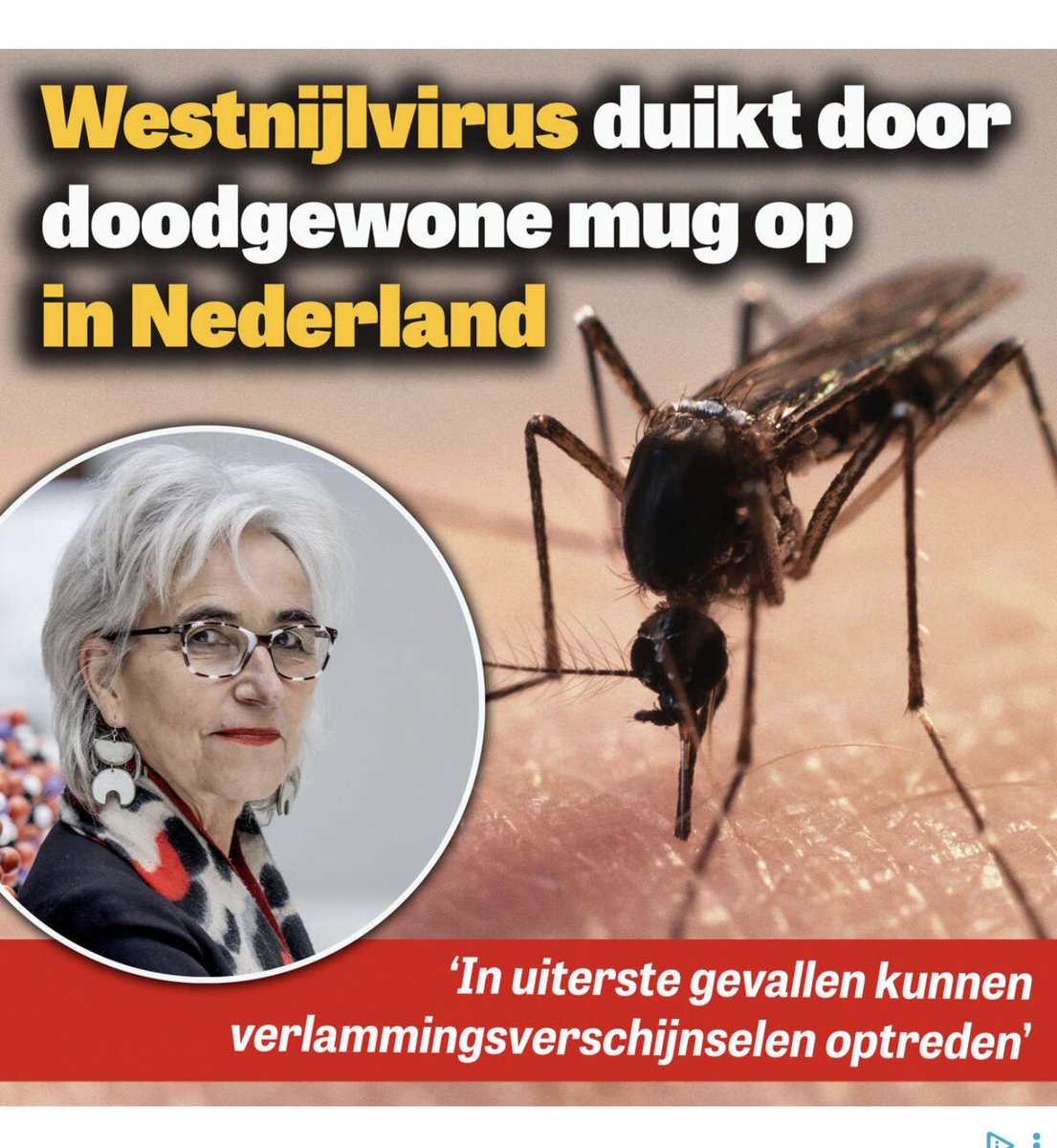 PouwTheo's tweet photo. Angstporno! Mensen bang maken voor je eigen boterham.

“In het uiterste geval”     “Kunnen”

Totale gestoordheid! https://t.co/eZ1gl0nDNQ