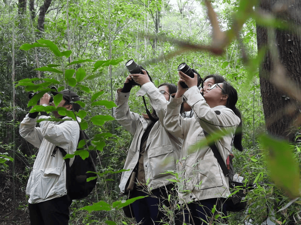 JeanelleMasoner's tweet photo. Join our campus photography club this Friday at 7 PM! We’ll tour the downtown botanical garden and capture stunning shots—beginners are super welcome! DM to sign up now. https://t.co/WVuMmNoE4I