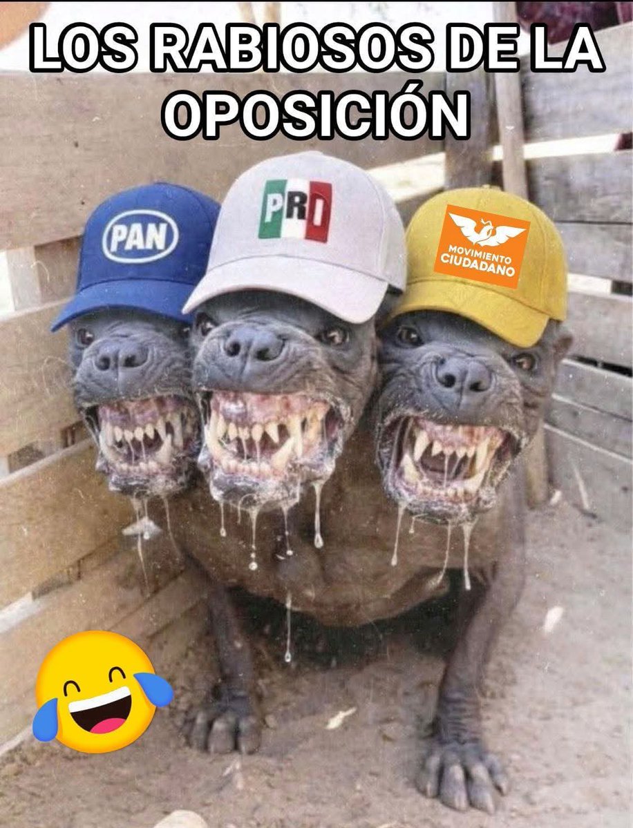 Remi74431179753's tweet photo. POR QUÉ ANDA TANTO P3RROS LADRANDO https://t.co/GeHk9N24Tv