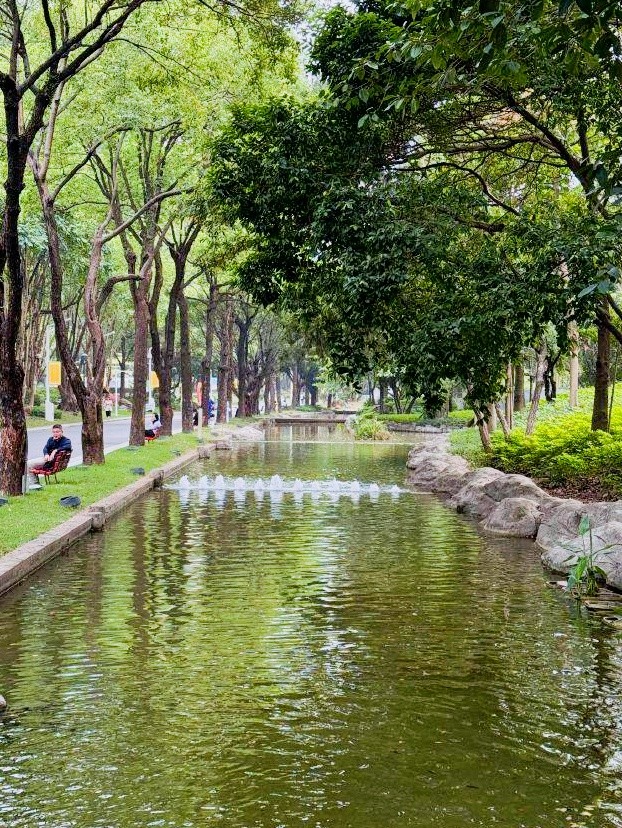 MaidaKincanbcd's tweet photo. The morning commute now feels like a mini nature walk with a new tree-lined path—small change, big daily joy!， https://t.co/gt4yLTwc8r