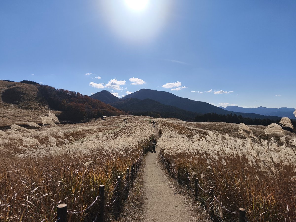 hofuman12's tweet photo. 東海三県付近の一緒に走ってくれるツーリング仲間を探してます！

写真は奈良県の端っこにある曽爾高原
ススキがたくさん！！

#ツーリング仲間募集
#ツーリング
#愛知県
#愛知
#三重県
#三重
#岐阜県 https://t.co/sVmC7tK5c2