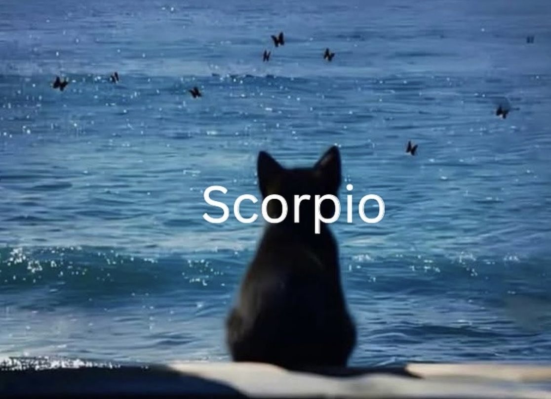 iamsouljabrasi's tweet photo. When a Scorpio just need some time alone https://t.co/gzr1X168vj