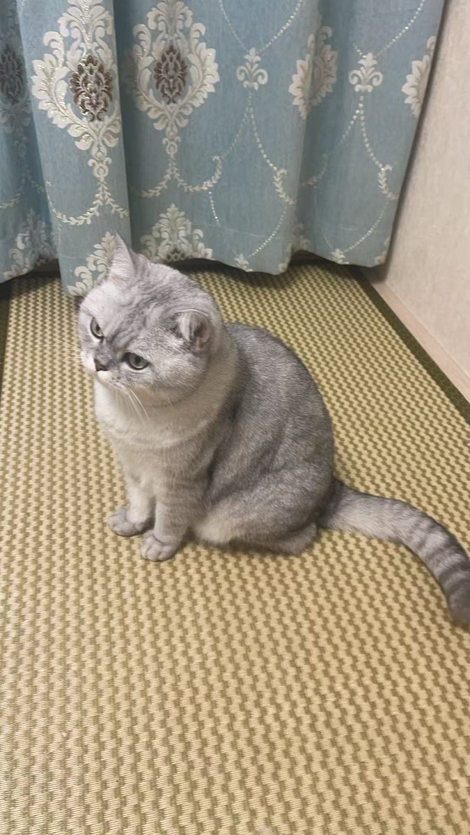 Serotonin716's tweet photo. @Makima_0411 https://t.co/NUYz8gOpiD