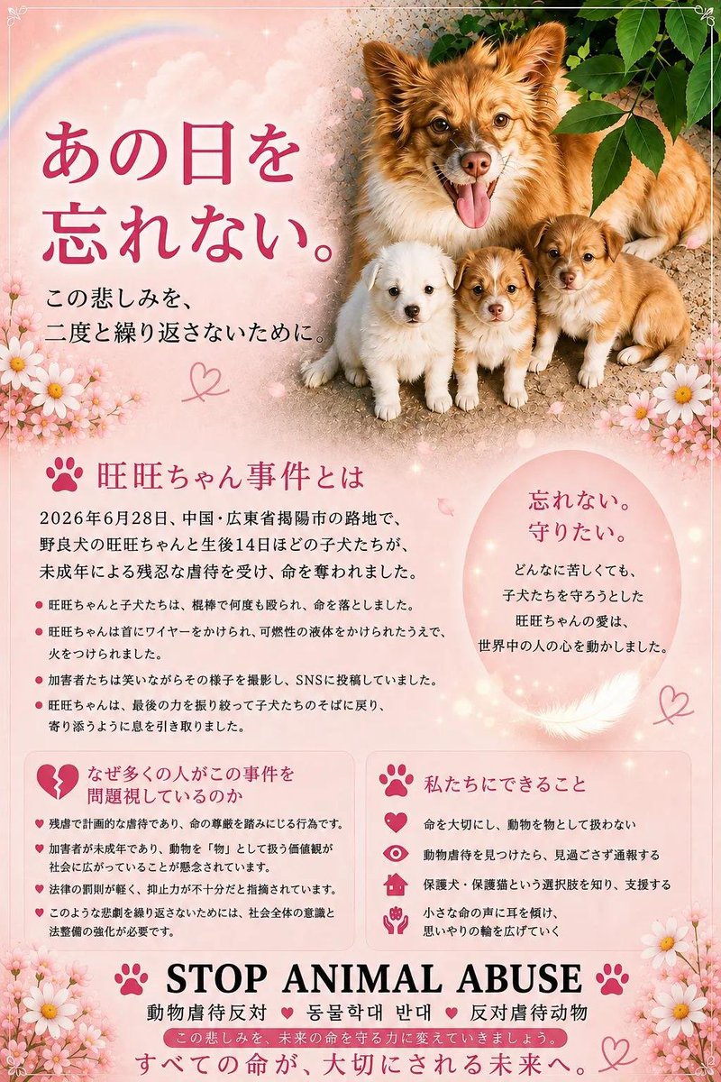 forthedogs_'s tweet photo. 投稿消されてる？減った？
まだまだ旺旺たちのために声をあげていきますよー！
ここで諦めたら、あのゴミカスたちを喜ばすだけです。

#中国 #旺旺 #動物虐待
#广东省揭阳市揭东区新亨镇坪埔村
#鍾澤昊ジョンザーハオ鍾思鑫ジョンスーシン
#鍾宇轩ジョンユーシュエン
#鍾喜聲ジョンシーション
#鐘暁能ジョンシャオノン
#鍾梓烨ジョンズーイエ
#動物虐待ビジネス撲滅
#掲陽未成年者犬虐待事件
#JusticeForWangWang
#中国に動物虐待防止法の制定を求める