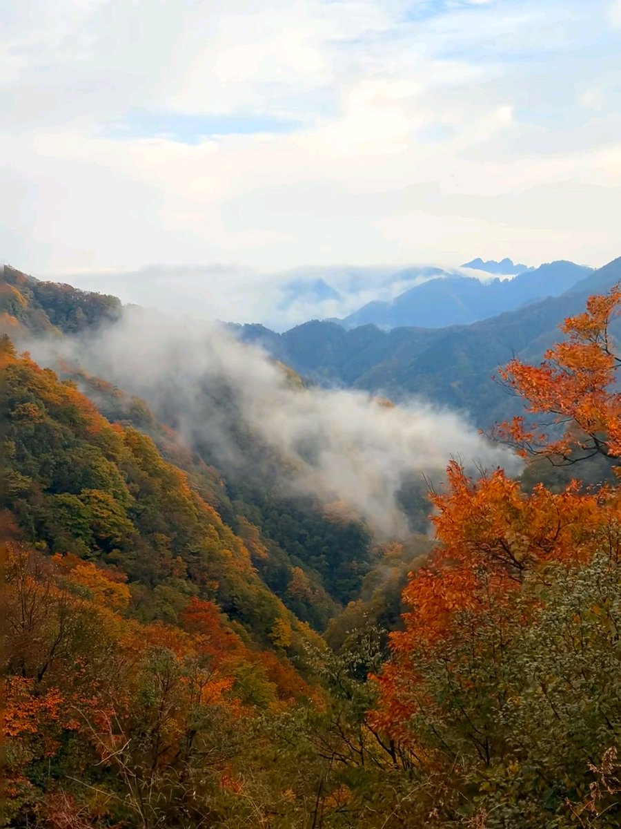 Firefox682880's tweet photo. 被网络折磨 https://t.co/xC3BOy8zmV