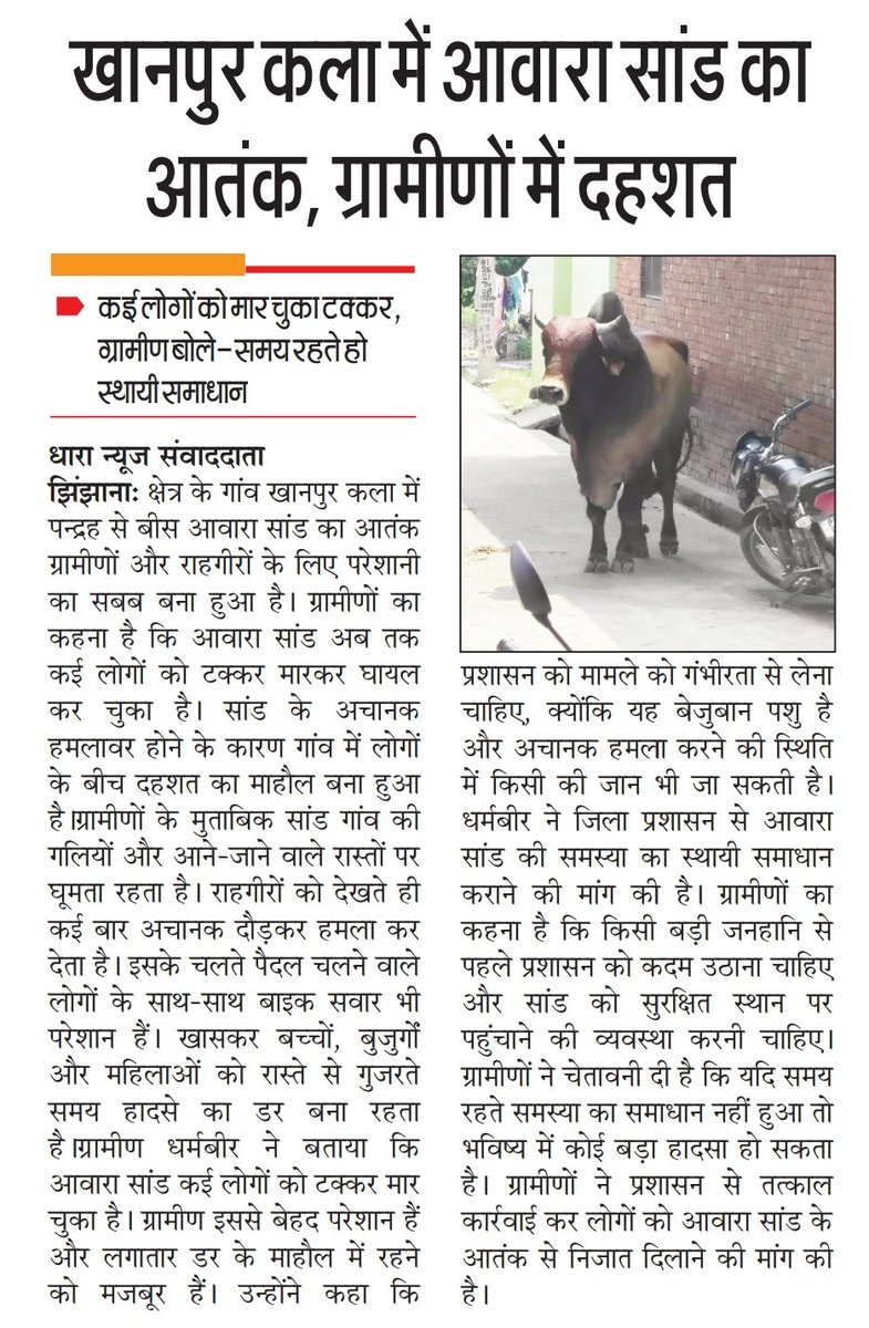 SADDAMRIPORTER1's tweet photo. @dm_shamli @PoliceShamli  महोदय कई लोग सांड की टक्कर की चपेट में आ चुके हैं और बड़ा हादसा भी हो सकता है। खनपुरकलां गांव का मैन रास्ता जिनपे ये आवारा सांड रोज आपस में लड़ते हैं झिंझाना करनाल हाइवे को लिंक करता है। https://t.co/QgACnVNM9h