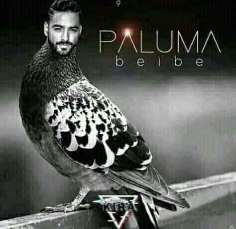 Stephany561265's tweet photo. @skereunpesado https://t.co/QdrEts9QCz