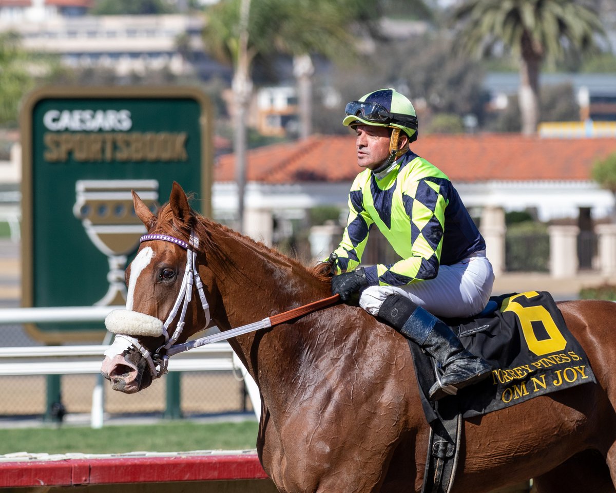 Equibase's tweet photo. OM N JOY will be the first filly or mare to run in the G1 Pacific Classic since Beholder in 2016 and trainer Aggie Ordonez will try and become the first female trainer to ever win the race 🏇🏝️

Beholder is the only filly or mare to win the Pacific Classic, dominating by 8 1/4 lengths in 2015 and covered 1 1/4 miles on the dirt in 1:59.11 for trainer Richard Mandella with Gary Stevens aboard.

Om N Joy, a 4yo Om filly bred in California, is a 5x stakes winner including 2 graded stakes victories. Last time out she finished 2nd by a half-length in the G1 Clement L. Hirsch at @DelMarRacing on August 1.

With a 20-1 ML, is Om N Joy your pick in the 2026 Pacific Classic?

📸Eclipse Sportswire