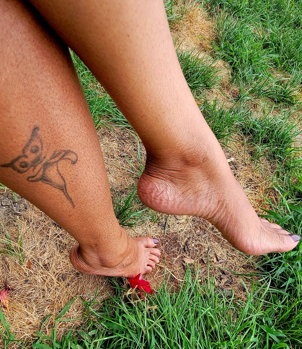 Cocoa_petals's tweet photo. Madame Ebony Rose doesn’t need to chase attention—
admiration finds its way to her feet.

Think you deserve a closer look?
🌹 DM for the full set, private collections &amp; custom commissions.

#MadameEbonyRose #BarefootBeauty  #FootModel #PedicureLove  #WorshipTheRose #CustomContent https://t.co/phGQ5Si4lO