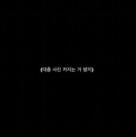 zl47e's tweet photo. 이런 느낌의 섭 키우고 싶다
하루종일 복복복 해주고 예뻐해 줘야지 https://t.co/bEHxlosALW