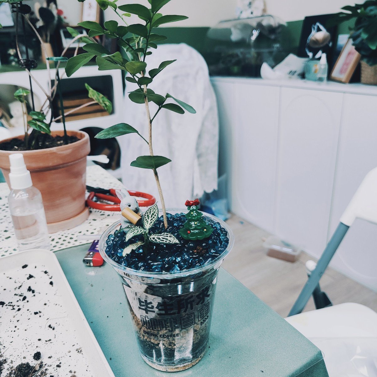 Gerainium5's tweet photo. Spent 10 mins in the office kitchen looking for my coffee mug—turns out my desk neighbor used it for a plant watering cup. Now our desk has a tiny succulent + a permanent coffee stain combo win. https://t.co/1tvSau7UzP