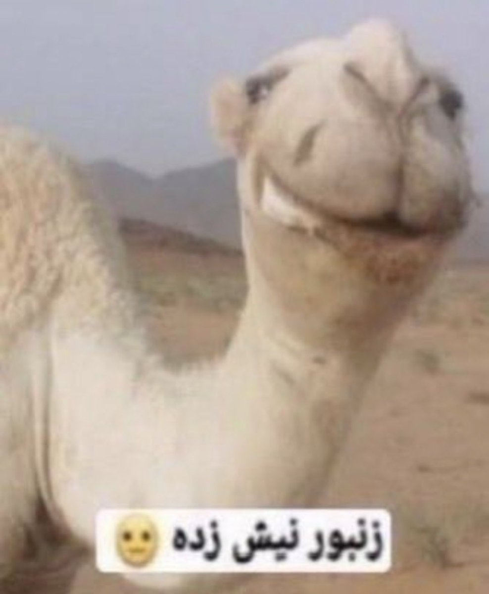 MESL58_'s tweet photo. @a6vle @uyrnl https://t.co/Tf3oowa7PD