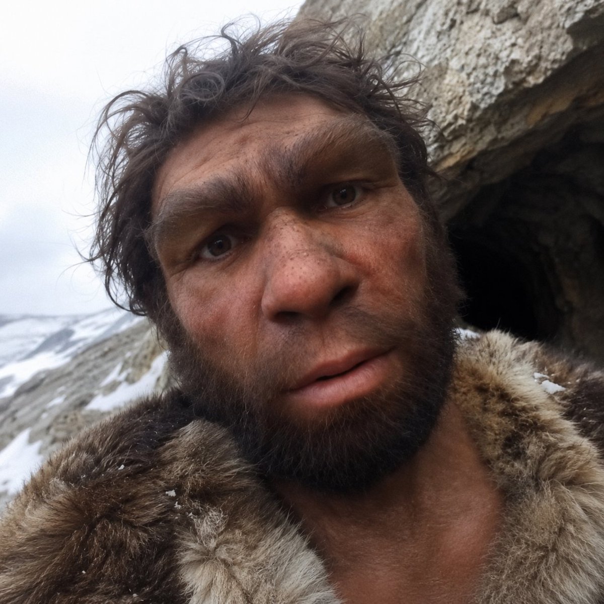 keemotrades's tweet photo. this guy is running a new series on tiktok where he is born 40,000 years ago and trying to survive the ice age,

it is going viral and i assume it will be a huge series in the future,

only 7 days in and managed to gather over 10m views

i currently dm'd him asking him to make a solana wallet to send redirect him fees.

https://t.co/j70L7Cuxf8