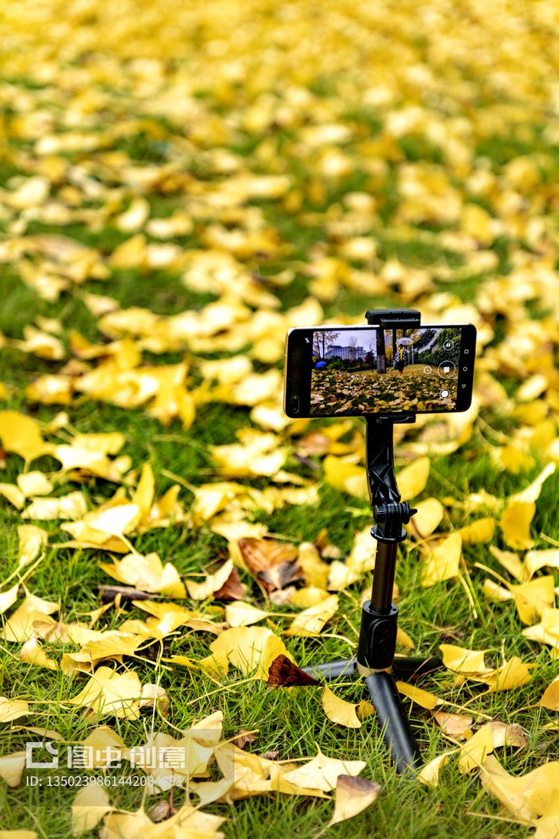 Tiger_Babe01's tweet photo. New to photography Start with mastering natural light—grab your phone, shoot golden hour outdoors, and adjust brightness a little. That’s your first stunning photo! https://t.co/gO5x4mcbhl