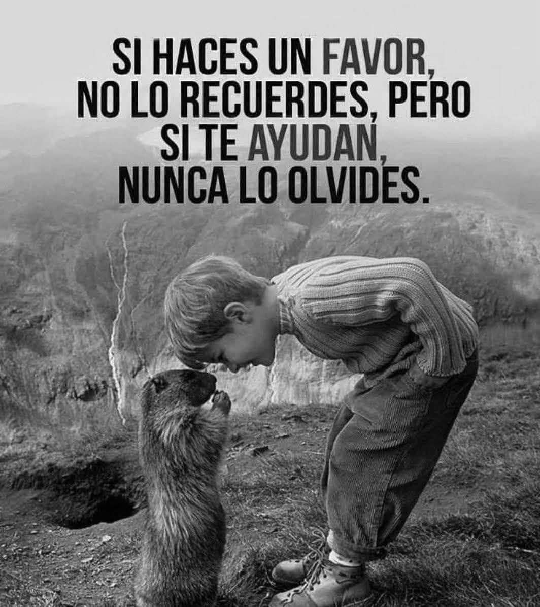 RincnCuriosoo's tweet photo. Ley de vida. https://t.co/MqIKvJEOlR