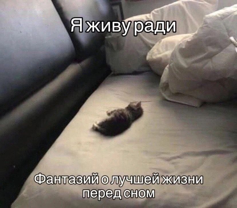 catsilcats's tweet photo. https://t.co/TvA034OQee