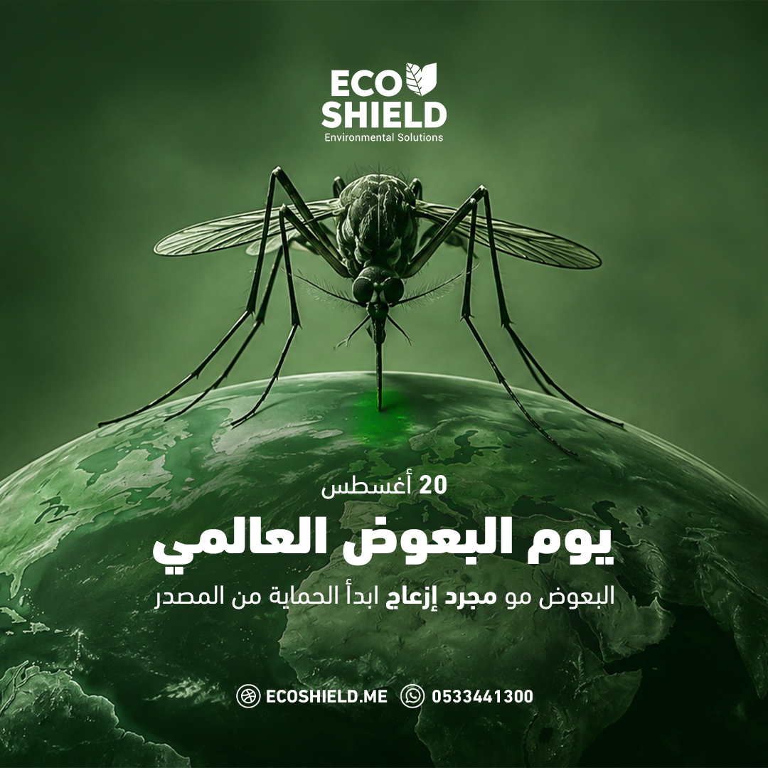 eco_shield_sa's tweet photo. في يوم البعوض العالمي 🦟
نتذكر أن البعوض مو مجرد إزعاج…
وجوده داخل أو حول البيت يحتاج انتباه ومعالجة من المصدر.

مع إيكو شيلد
نساعدك تقلل مصادر انتشاره وتحافظ على بيت أكثر راحة وأمانًا.

📞 للتواصل والحجز عبر الواتساب: 0533441300

#إيكو_شيلد #الرياض_الآن #دايمًا_آمن #ecoshield https://t.co/rSjZ25q2lq