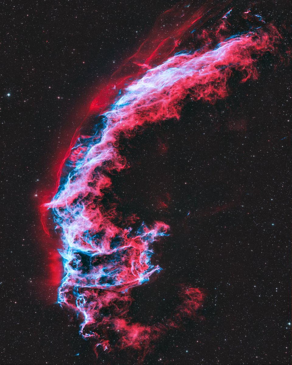 AstroBackyard's tweet photo. The Veil Nebula 😳

This month is the PERFECT time to photograph the Veil Nebula in Cygnus!

I captured this image of the Eastern Veil Nebula with my reflector telescope in the backyard - and it's my best yet. (gear pic in thread)

It's a bright, expanding supernova remnant located roughly 1,400 to 2,400 light-years from Earth.

It appears as a faint, curved, ghostly white arc of textured light resembling a delicate ribbon through a telescope.

This is my longest-ever exposure on the Veil, totaling 20 hours from my backyard in the city. I hope you like it. 😃

Image Details:

120 x 5 minutes in H-Alpha (10 Hours)
120 x 5 minutes in OIII (10 Hours)

Equipment Used:

Camera: https://t.co/i55Do5HsSI
Telescope: https://t.co/0DKAMx5W8N
Mount: https://t.co/abp8F7LBao