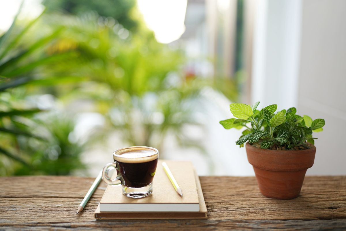 Mark_moy19's tweet photo. Just hit the desk for a 10-minute “productivity reset” — sipping coffee while staring at the plant. Win-win, right https://t.co/U9TnbI8yn0