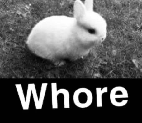 theyllkill's tweet photo. I used to have a hobby of reading death threats https://t.co/RWggnEOwLY