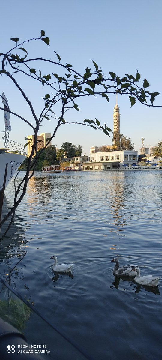 ordinaryesraa's tweet photo. اوقات بتمنى عينى تبقا كاميرا من كتر ما بحس ان الدنيا كلها مناظر جميلة تستحق التوثيق https://t.co/efhSDVrggU