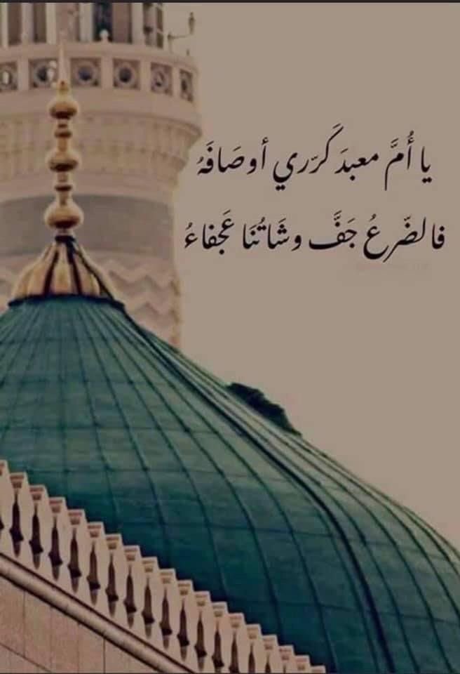 alsayg's tweet photo. https://t.co/keZvEAmnRI