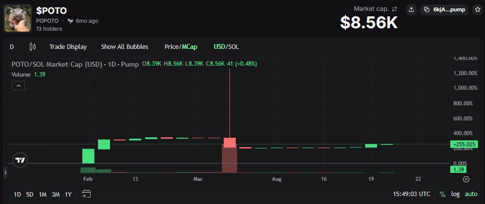 PopotoToken's tweet photo. 255% accumulated
long-term meme.

transform POPOTO into a global store of value!
6kjAwkrg8B1Mx6vFhndcdPZEGm9uqLTJU9e8SUYbpump https://t.co/YYieDuFfQG