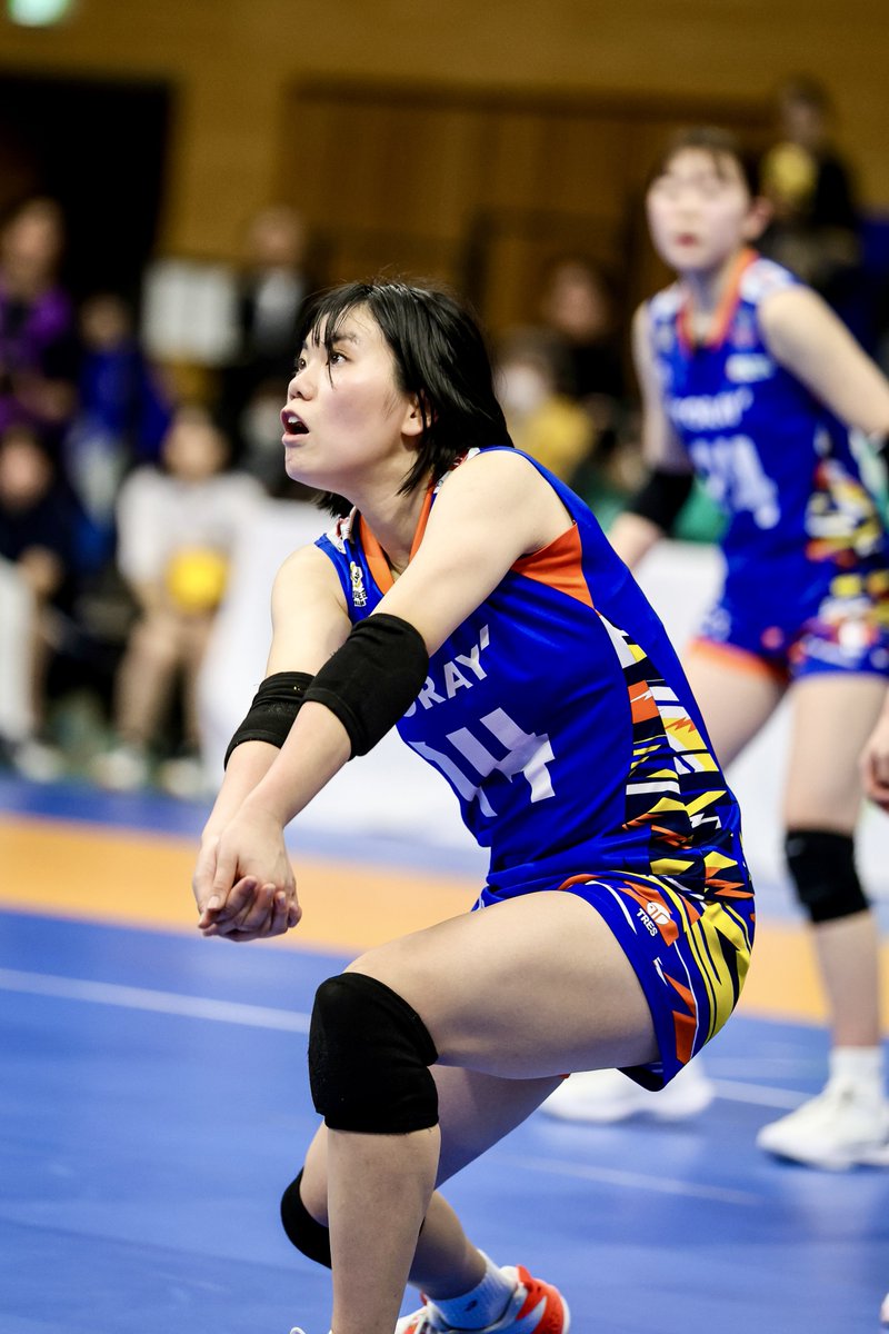 tora_sanada's tweet photo. 2026.3.7 ＹＭＩＴアリーナ　東レアローズ滋賀vs 群馬グリーンウイングス

#折立湖雪 選手
#東レアローズ滋賀 
#大同生命svリーグ 
#アロじょ 
#アロフォト https://t.co/nznfe7h5XW