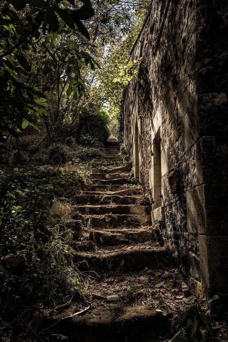 jmg1134's tweet photo. Entre les pierres et les feuilles, le temps gravé son histoire. Une marche vers l’oubli… ou un chemin vers la mémoire d’un temps passé?

#vestiges #ruines #dark #chemin #passé https://t.co/0zw21rERAV