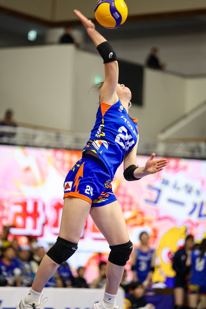 tora_sanada's tweet photo. 2026.3.7 ＹＭＩＴアリーナ　東レアローズ滋賀vs 群馬グリーンウイングス

#結束美南 選手
#東レアローズ滋賀 
#大同生命svリーグ 
#アロじょ 
#アロフォト https://t.co/lruEIT9WTU