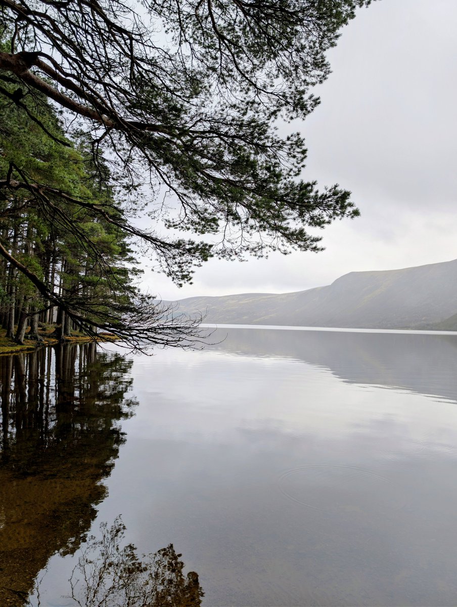 Yanmountaic4ye's tweet photo. Loch Muick,sits proudly below lochngar Scotland,my happy place #myscotland https://t.co/OOhlyBlDrH