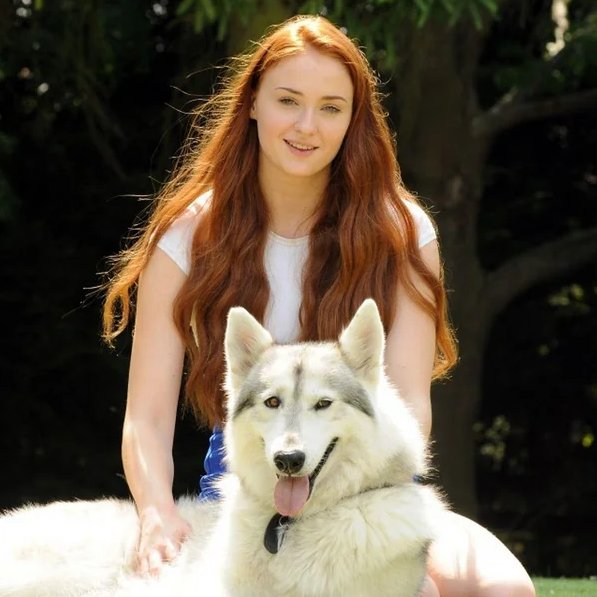 EnsedeCiencia's tweet photo. 🔴 | Sophie Turner adoptó en la vida real a la perrita que actuó a su lado como su loba huargo en Game of Thrones. https://t.co/eyIbZtXZ2F