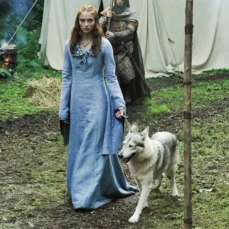 EnsedeCiencia's tweet photo. 🔴 | Sophie Turner adoptó en la vida real a la perrita que actuó a su lado como su loba huargo en Game of Thrones. https://t.co/eyIbZtXZ2F